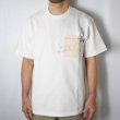 画像7: BLUE BLUE  オープンエンドコットン POSTMARK ポケット Tシャツ (7)