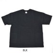 画像9: HEALTHKNIT x HIGH! STANDARD　ヘビーウェイト スモックTシャツ (9)
