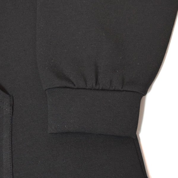 画像11: HOLLYWOOD RANCH MARKET　Hエンブロイダリー ストレッチスキューバプルフーディ (11)