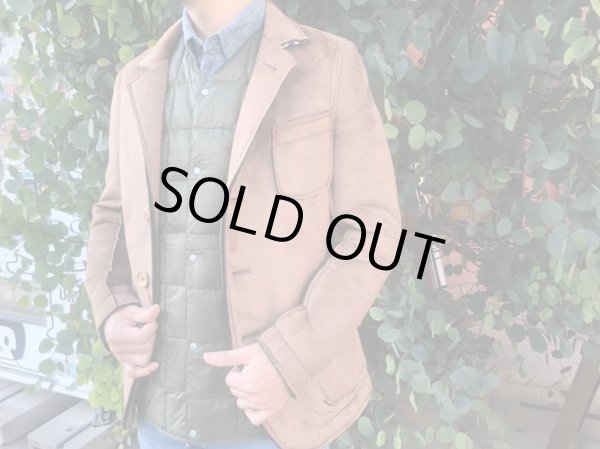 画像2: 【再入荷】TAION　 メンズ Vネックボタン インナーダウンベスト　TOV (2)