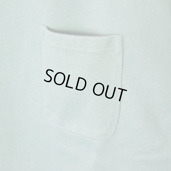 画像15: BLUE BLUE  スーパーヘビーテンジク ショートスリーブ ポケットバスクシャツ (15)