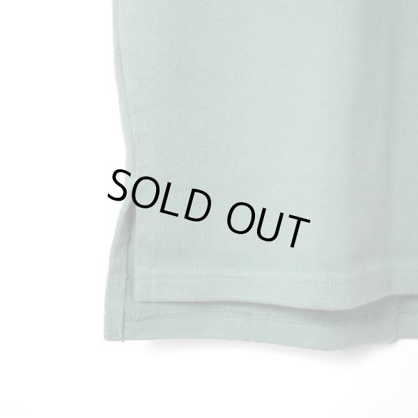 画像17: BLUE BLUE  スーパーヘビーテンジク ショートスリーブ ポケットバスクシャツ (17)