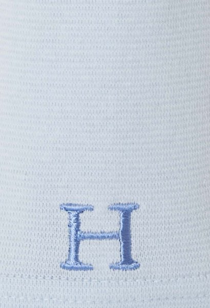 画像2: HOLLYWOOD RANCH MARKET　『ストレッチフライス キッズロングスリーヴTシャツ　カラー：LIGHT BLUE』 (2)