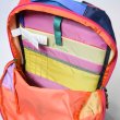 画像5: cotopaxi　Chiquillo 26L Backpack - Del Día (5)