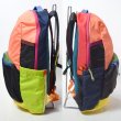 画像4: cotopaxi　Chiquillo 26L Backpack - Del Día (4)