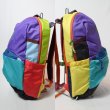 画像10: cotopaxi　Chiquillo 26L Backpack - Del Día (10)