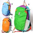 画像2: cotopaxi　KID'S DIMI 12L BACKPACK - Del Dia (2)