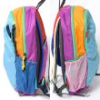 画像8: cotopaxi　KID'S DIMI 12L BACKPACK - Del Dia (8)
