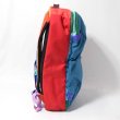 画像5: 【'24FW新作】cotopaxi　ALLPA MINI 20L TRAVEL PACK - Del Dia (5)