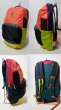 画像2: cotopaxi　Chiquillo 26L Backpack - Del Día (2)