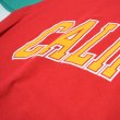 画像16: COPY CAT　TEE SHIRTS (16)