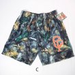 画像13: CRISP NYC 　メッシュショーツ (13)