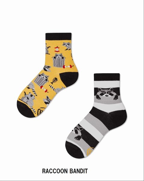 画像9: 【再入荷】【キッズ】MANY MORNINGS　Regular Socks (9)